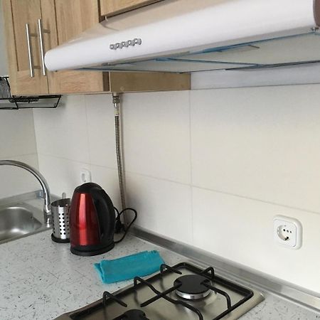 Mizhhirya  Apartaments In Karpaty מראה חיצוני תמונה