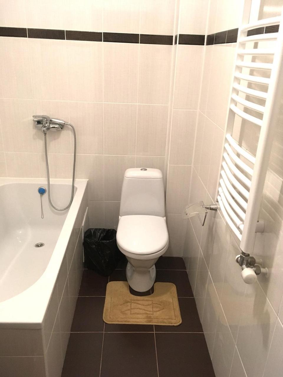 Mizhhirya  Apartaments In Karpaty מראה חיצוני תמונה
