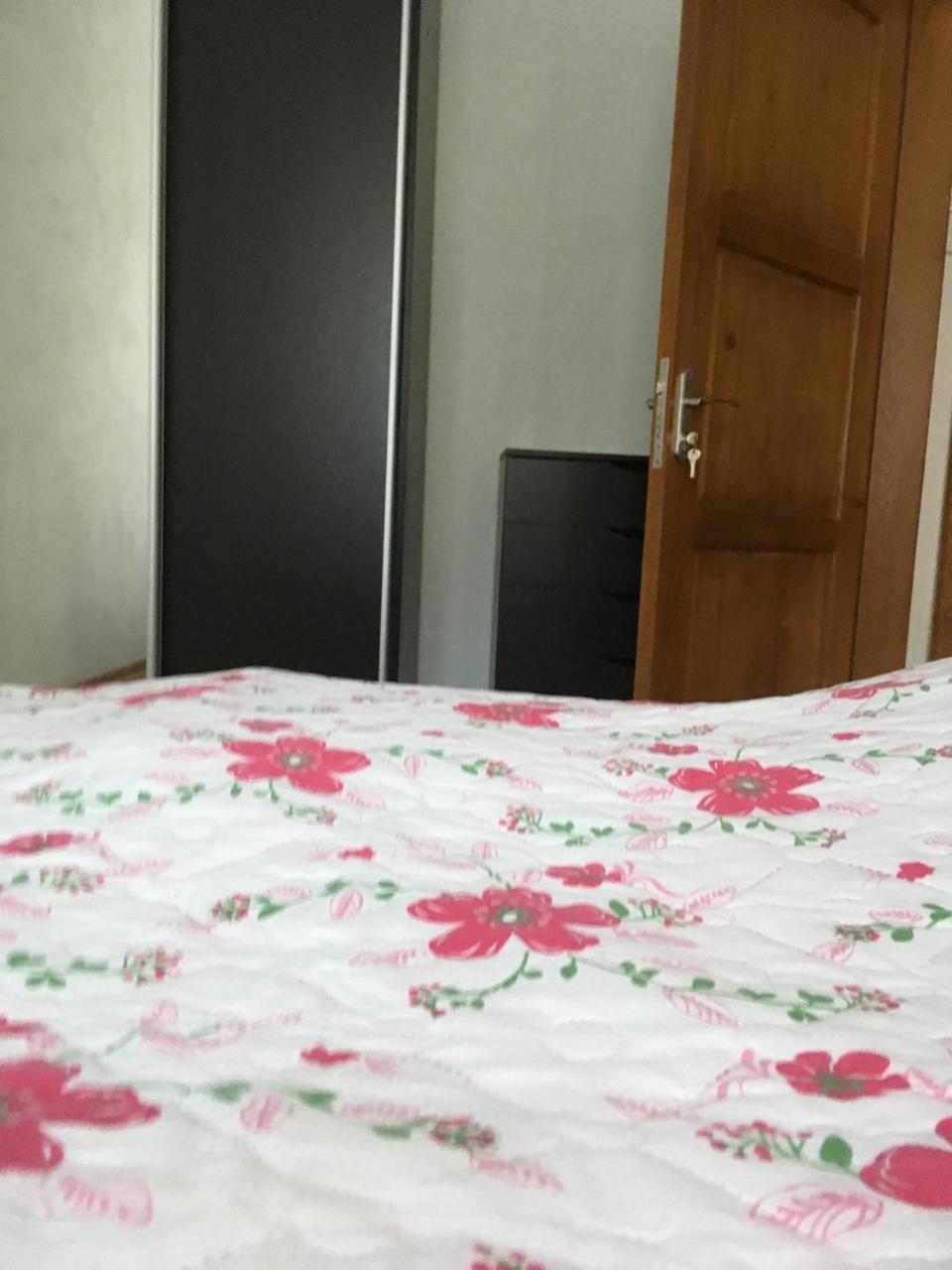 Mizhhirya  Apartaments In Karpaty מראה חיצוני תמונה