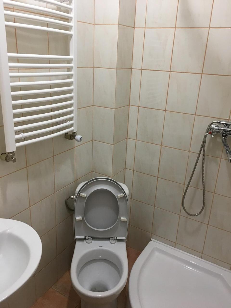 Mizhhirya  Apartaments In Karpaty מראה חיצוני תמונה