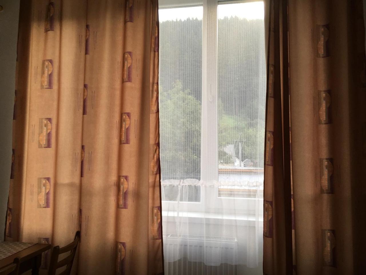 Mizhhirya  Apartaments In Karpaty מראה חיצוני תמונה