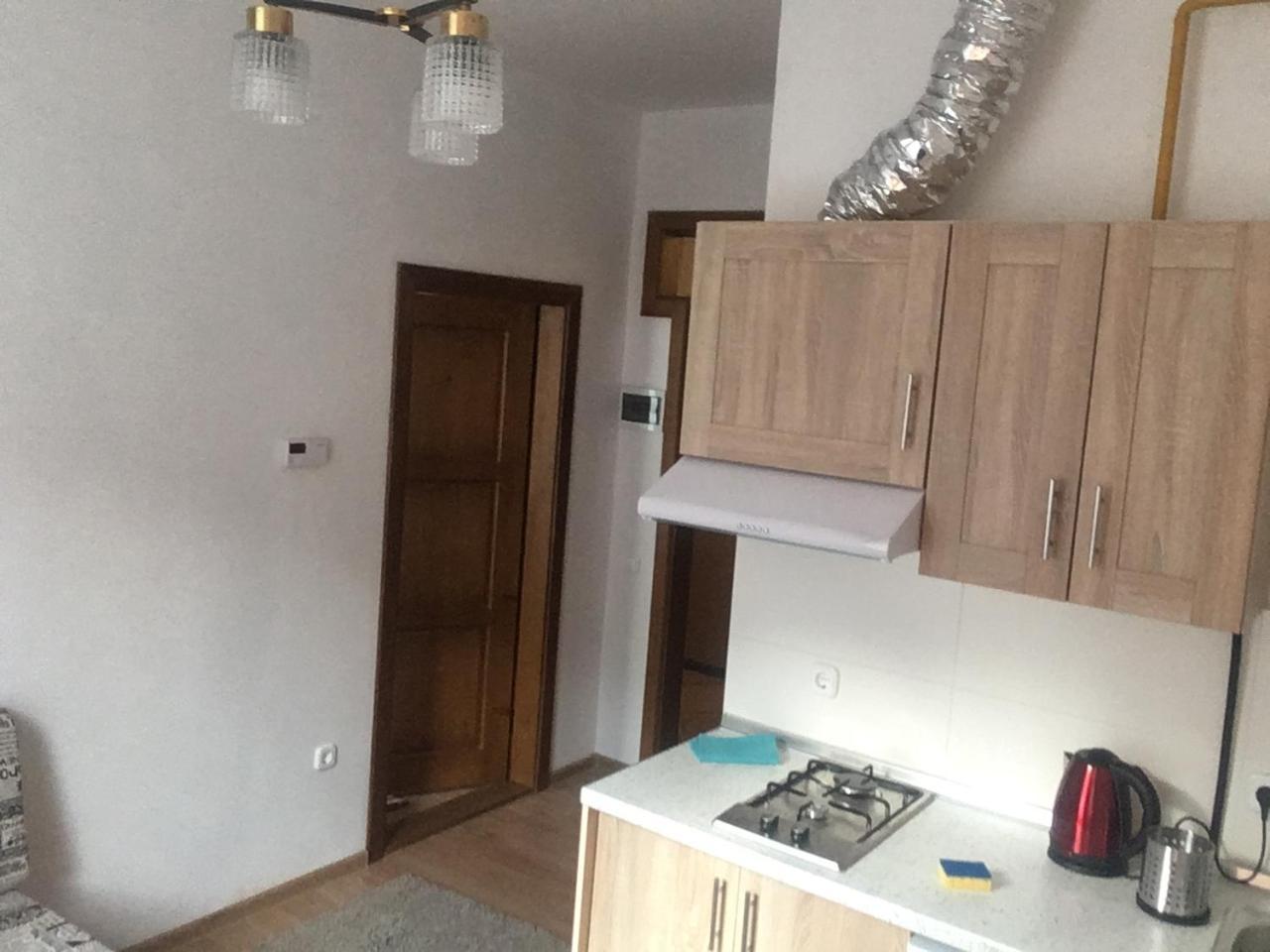 Mizhhirya  Apartaments In Karpaty מראה חיצוני תמונה