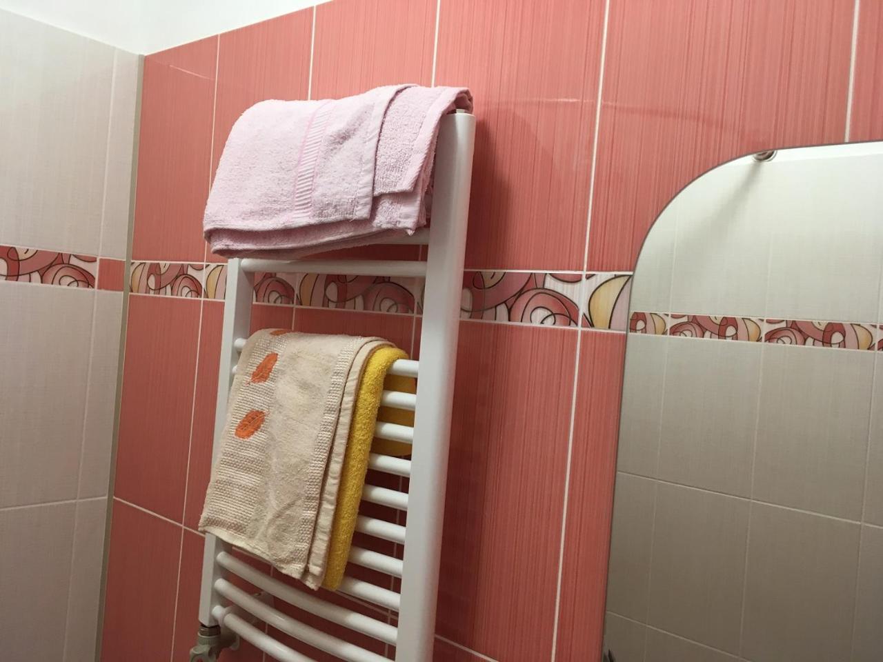 Mizhhirya  Apartaments In Karpaty מראה חיצוני תמונה