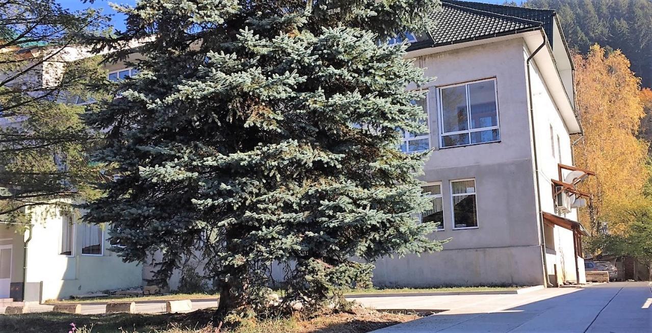 Mizhhirya  Apartaments In Karpaty מראה חיצוני תמונה